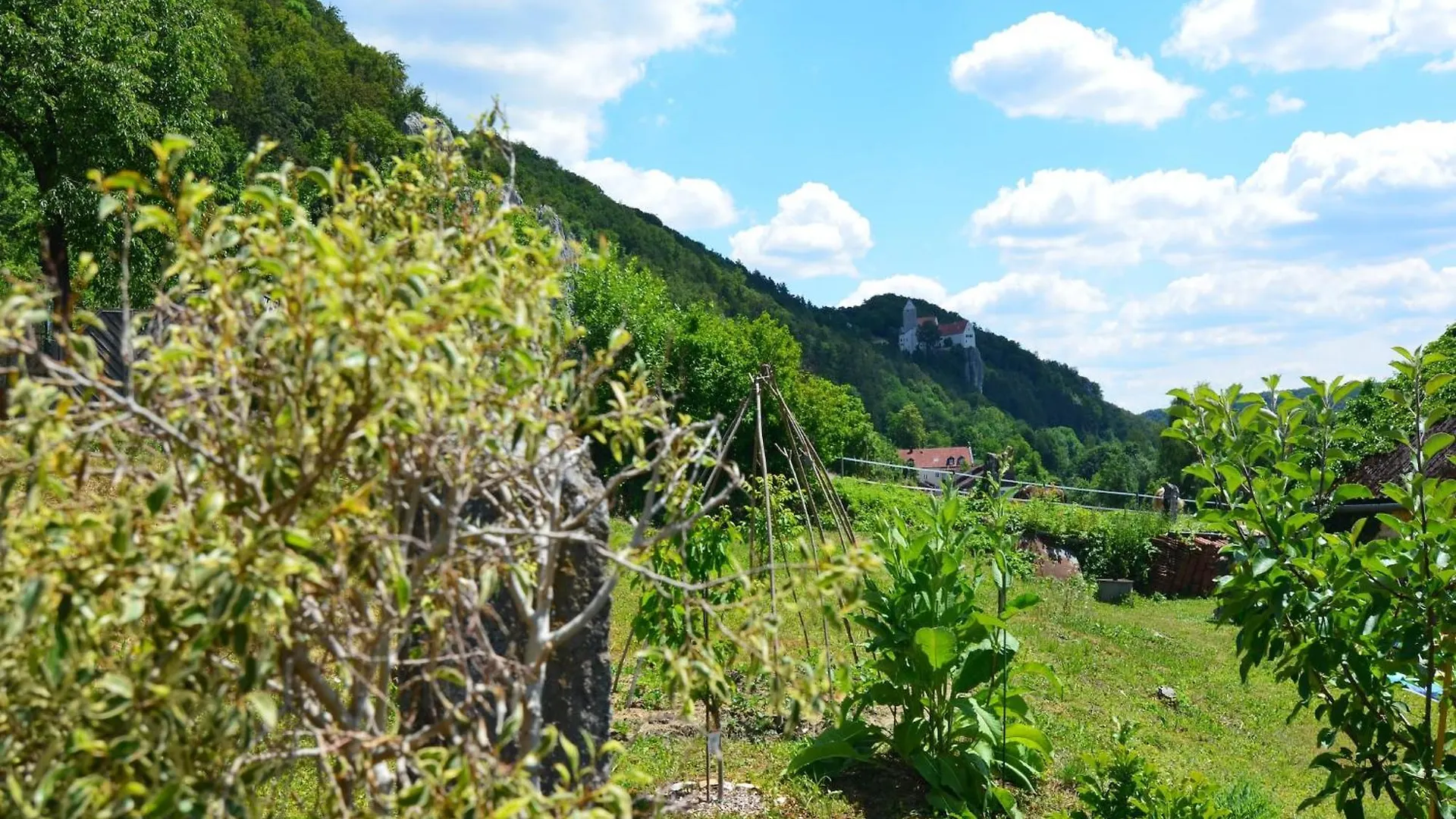 Homely Apartment In Riedenburg Prunn Near Forest With Bbq